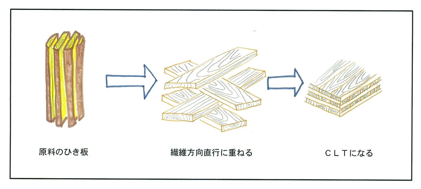CLTの話