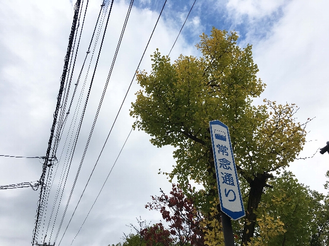 どんなカバンを使っていますか？